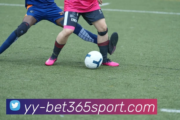 beats365体育平台生态图