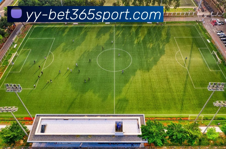 奖项2